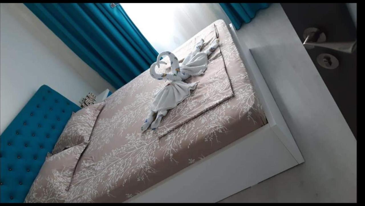Apartament Katy Neversea 康斯坦察 外观 照片